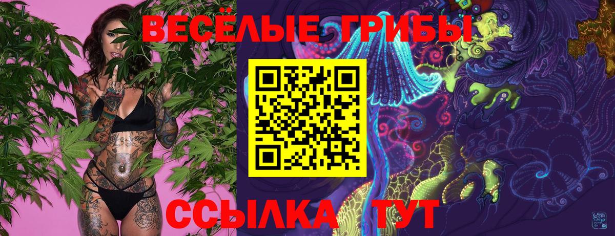 Галлюциногенные грибы ЛСД Сухой Лог